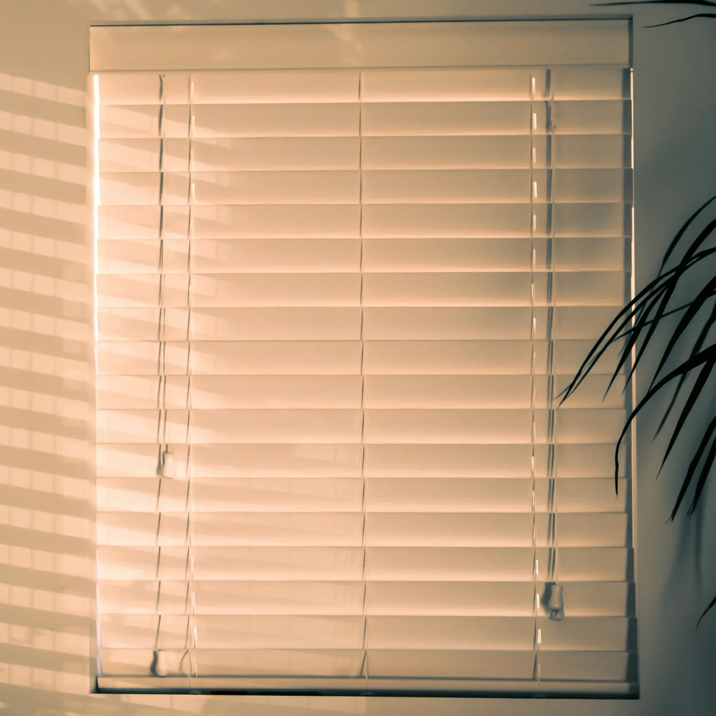 Blinds